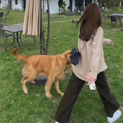 冒牌卧底